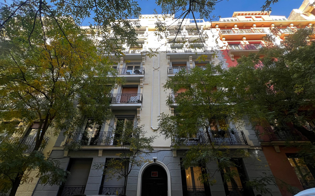 Ayala 55